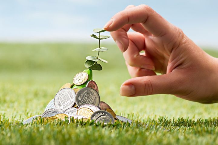 За рік земля подорожчала на 30 %